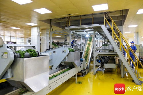 堅(jiān)持創(chuàng)新驅(qū)動(dòng) 白沙兩企業(yè)入選省科技型中小企業(yè)名單